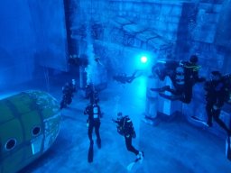 20230303 Nemo 33